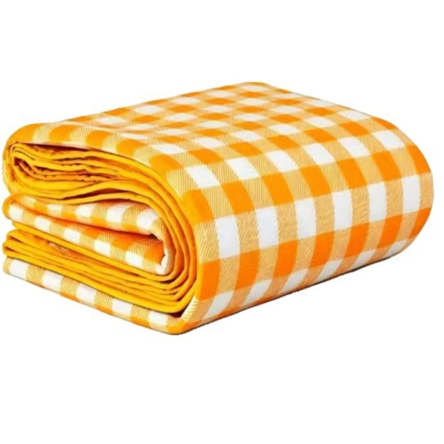 Outdoor Waterproof Picnic Mat Kalsten
