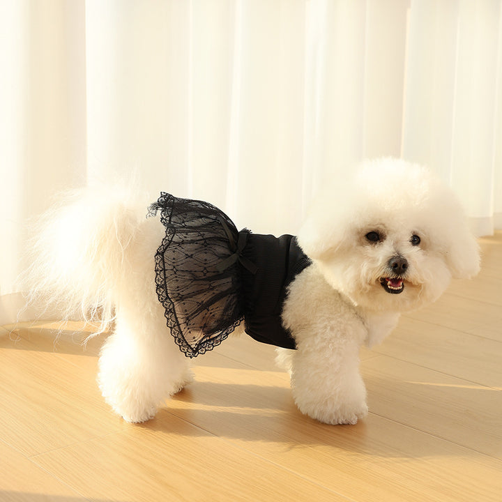 Delicate Lace Tulle Pet Dress with Ribbed Bodice & Decorative