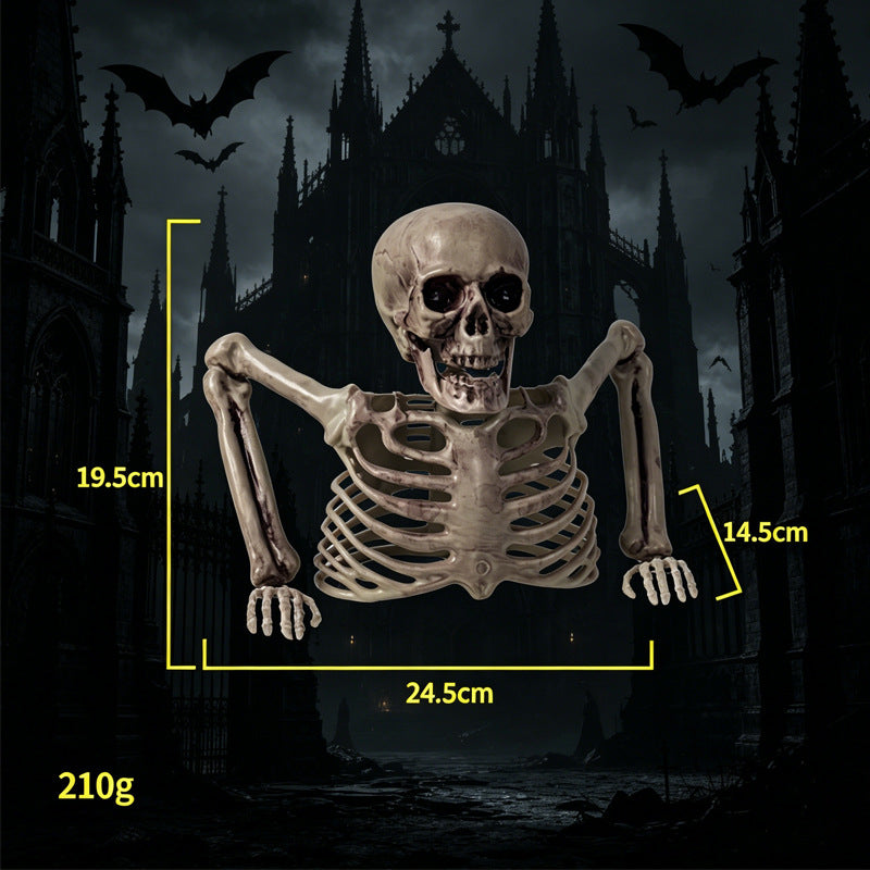 Realistic Skeleton Decoration Kalsten