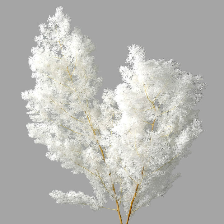 Decorative Dried Foliage Arrangement