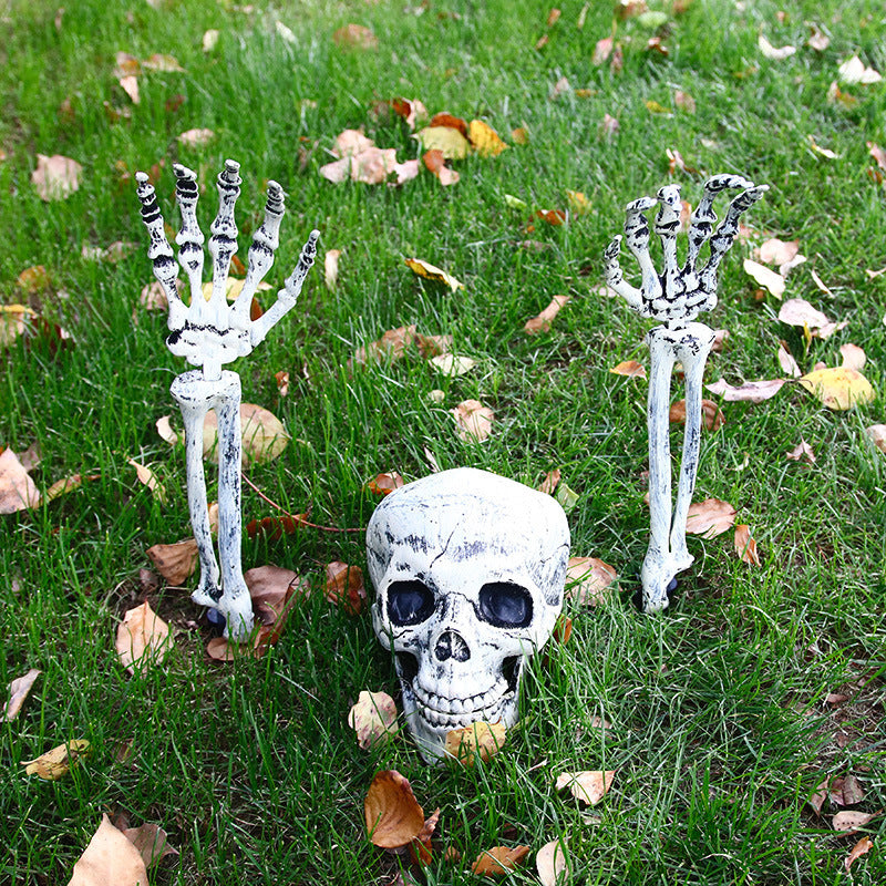 Realistic Decorative Skull Prop Kalsten