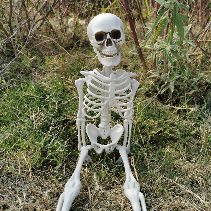 Realistic Decorative Skeleton Figures Kalsten