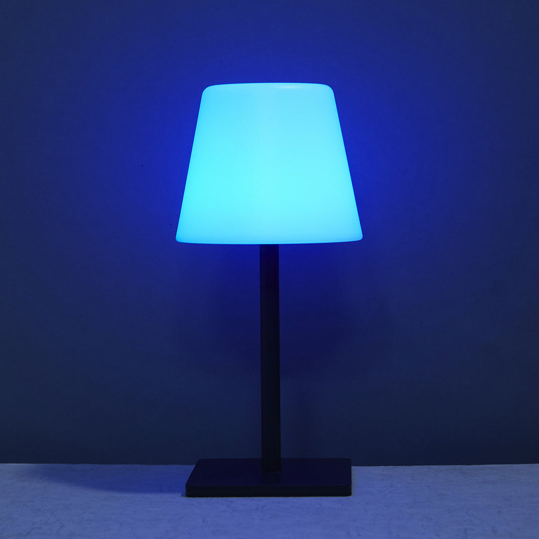 Modern Decorative Touch Lamp
