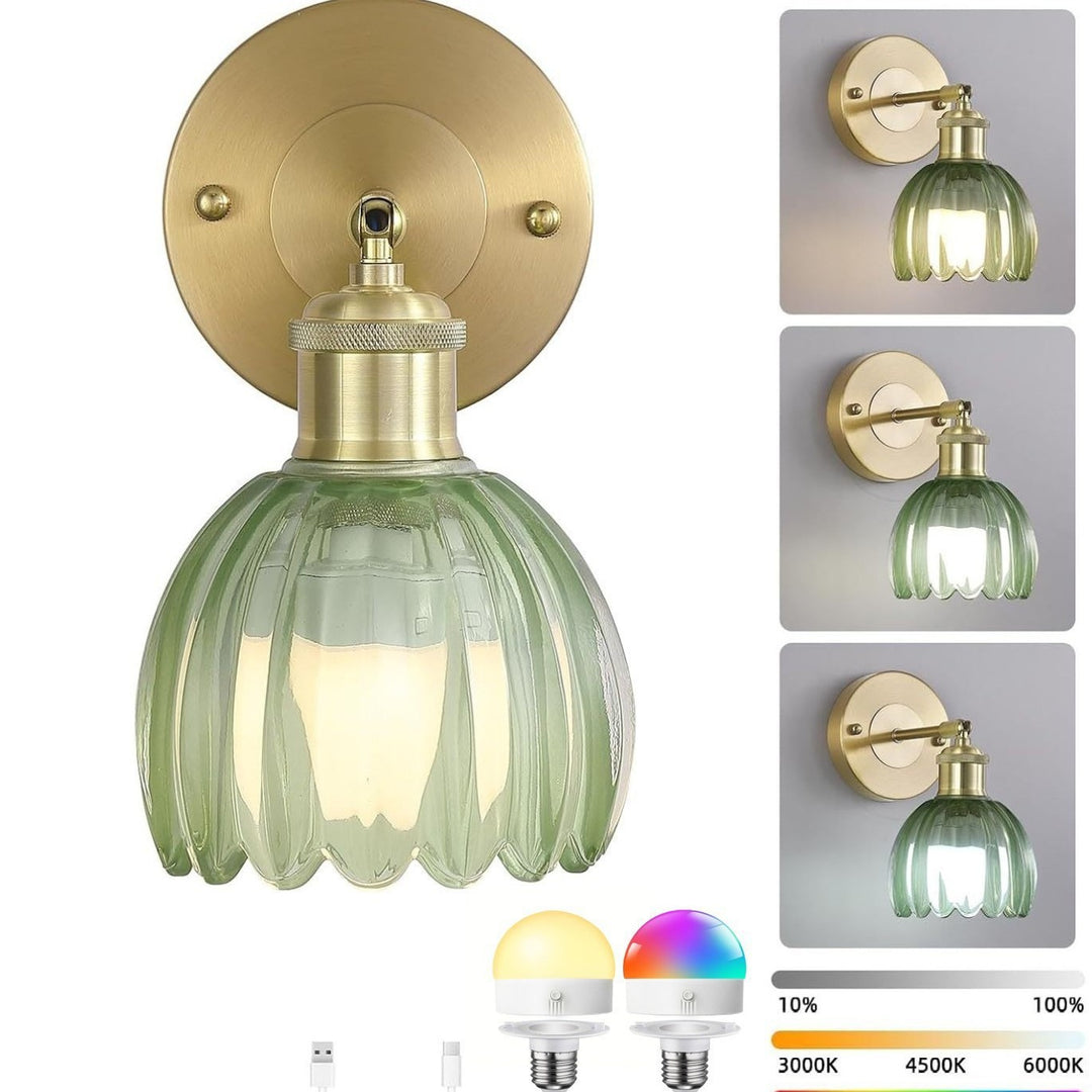 Elegant Glass Wall Sconce