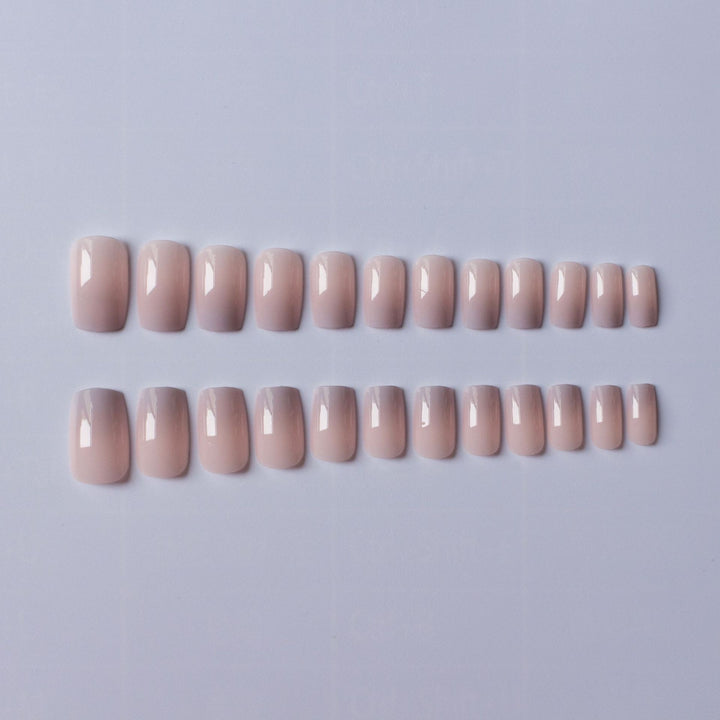 Elegant Ombre Gel Nail Art