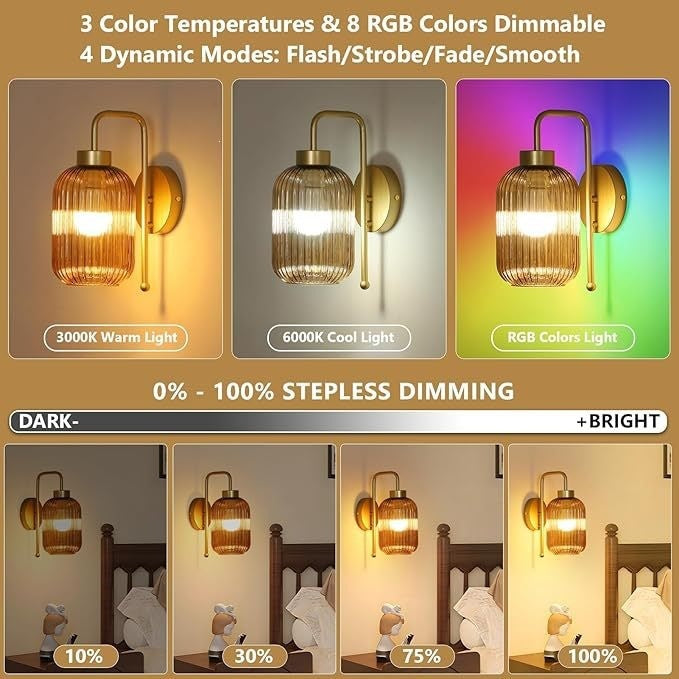 Elegant Glass Wall Light Fixture