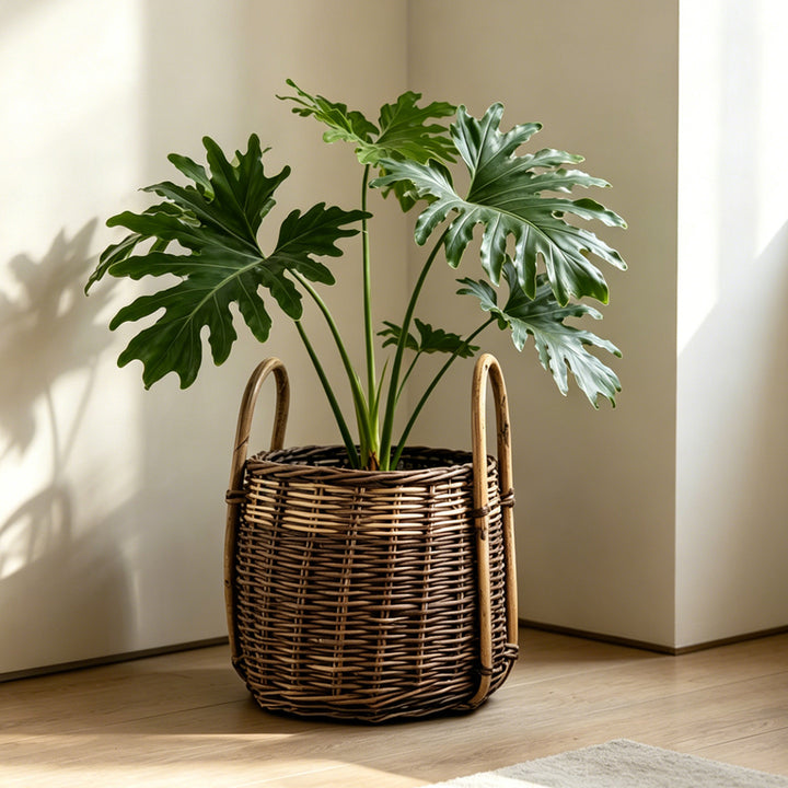 Handcrafted storage basket with natural fiber Kalsten