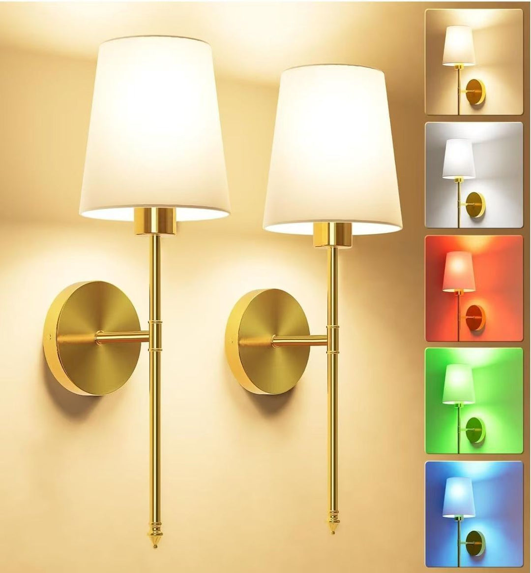 Elegant Adjustable Wall Sconce