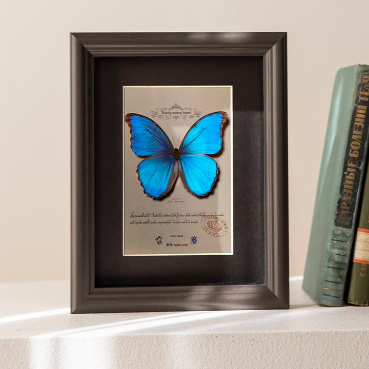 Decorative Butterfly Art Frame for Home Decor