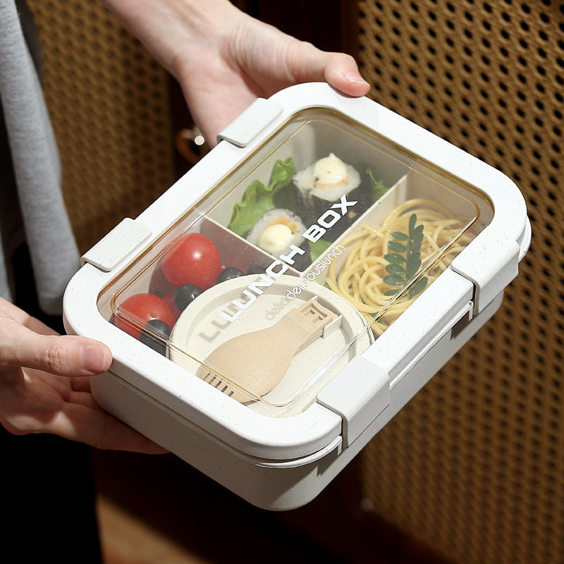 Elegant Multi-CompartmentLunch Box