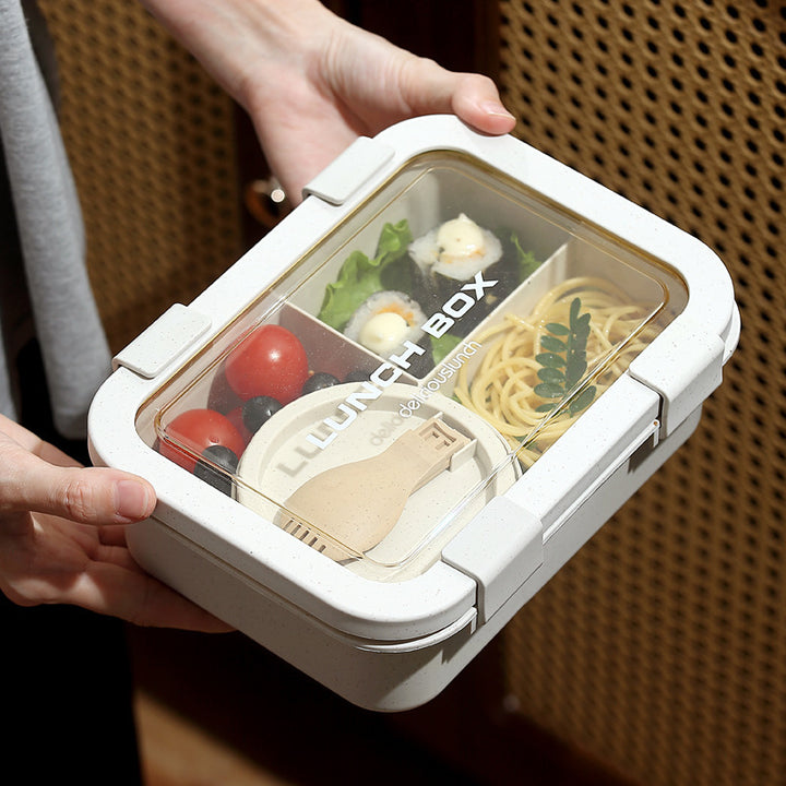 Elegant Multi-CompartmentLunch Box