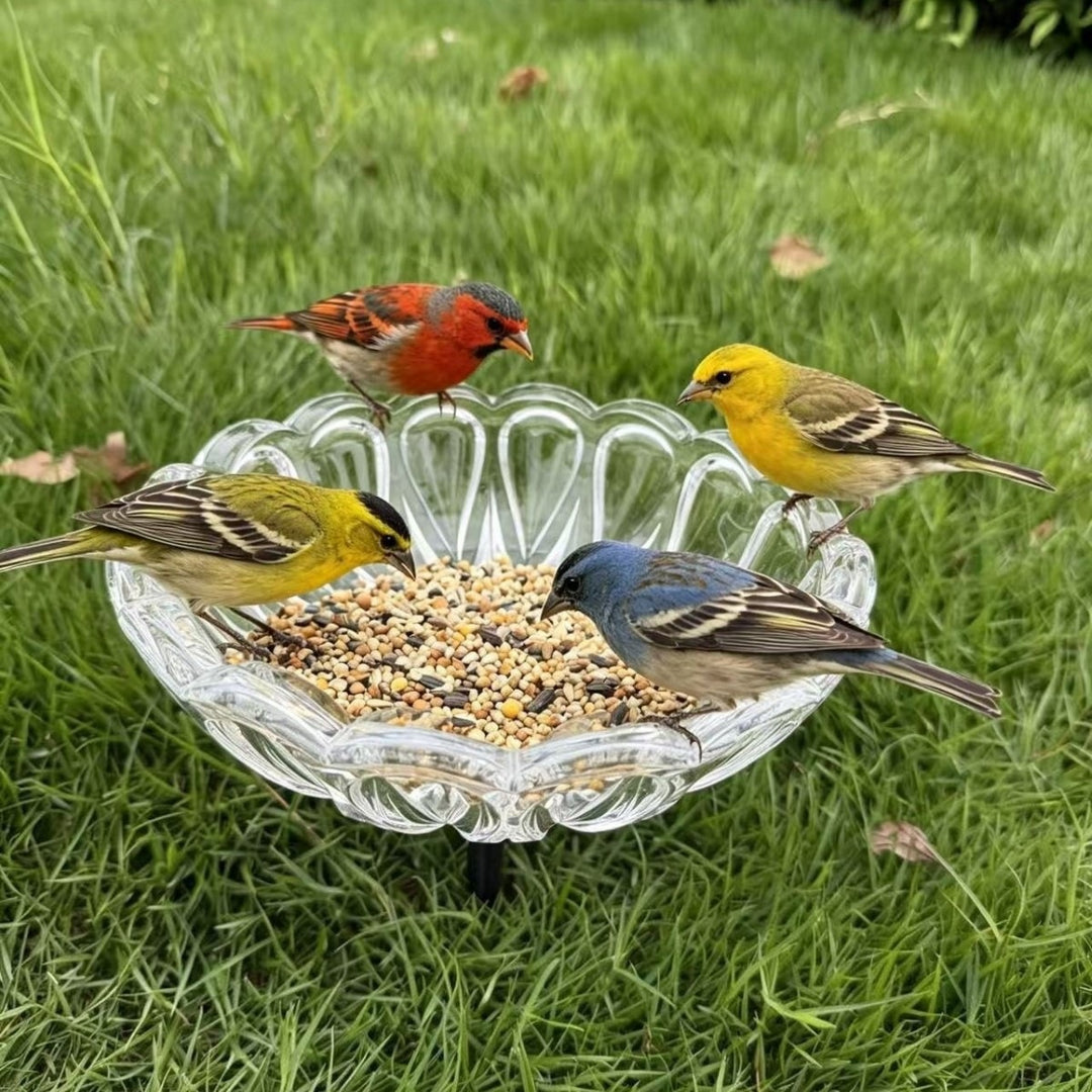 Elegant Bird Feeding Station Kalsten