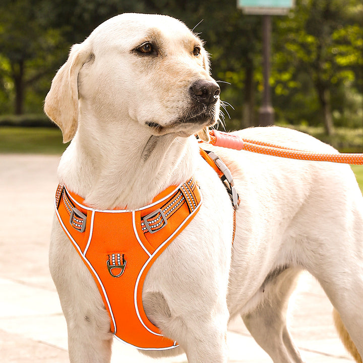 No-Pull Adjustable Pet Harness