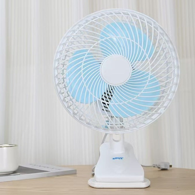 Fan Kalsten