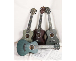 Beginner-Friendly Soprano Ukulele Kalsten