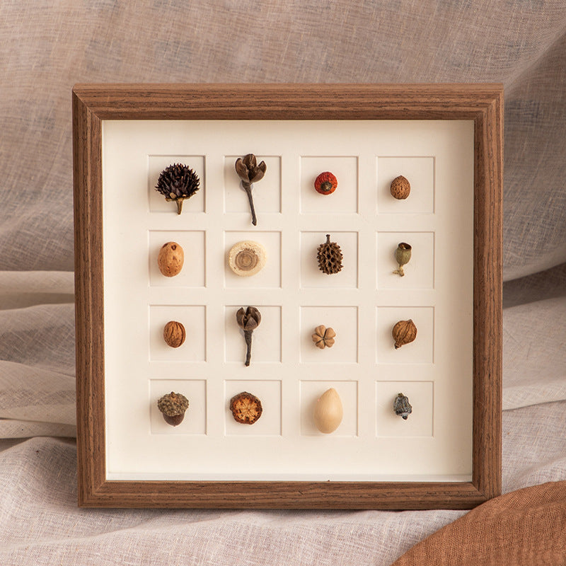 Botanical Specimen Display Frame