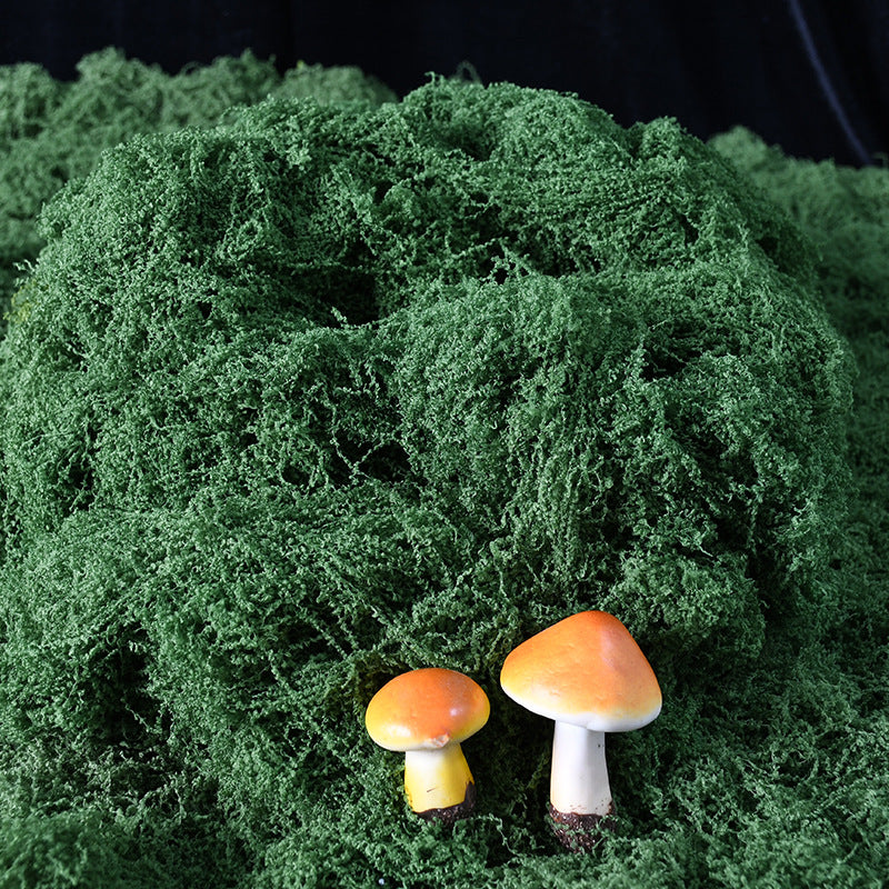 Decorative Moss and Mushroom Arrangement