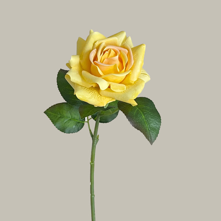 Decorative Realistic Rose Stem