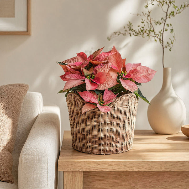 Handmade storage basket in contemporary design Kalsten
