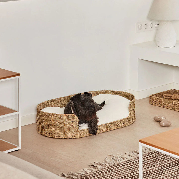 Cozy and stylish dog bed made of braided material Kalsten