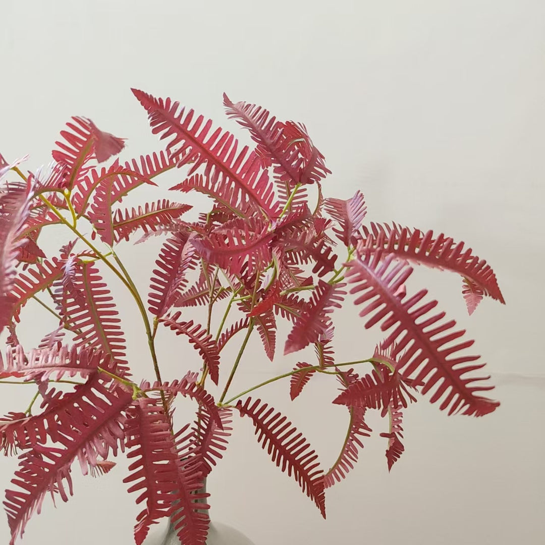 Artistic Fern Stem
