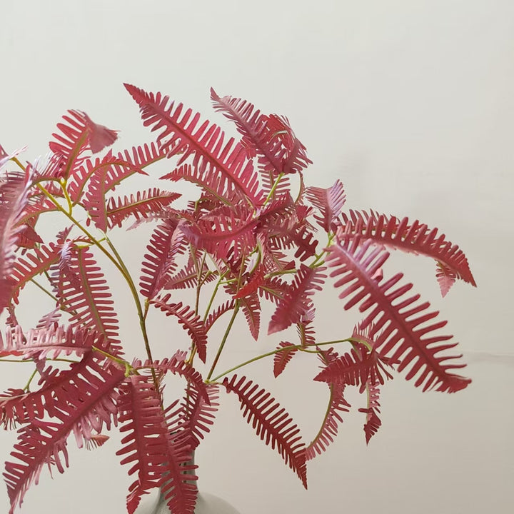 Artistic Fern Stem