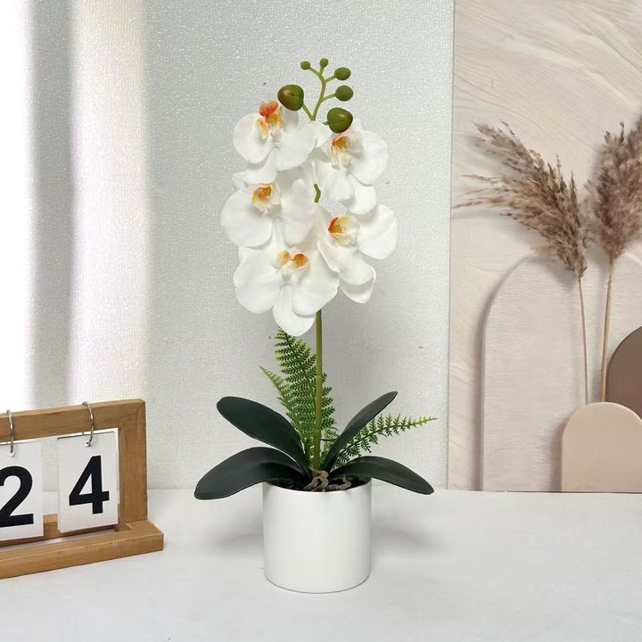 Artificial Orchid Plant for Decorative Indoor Display