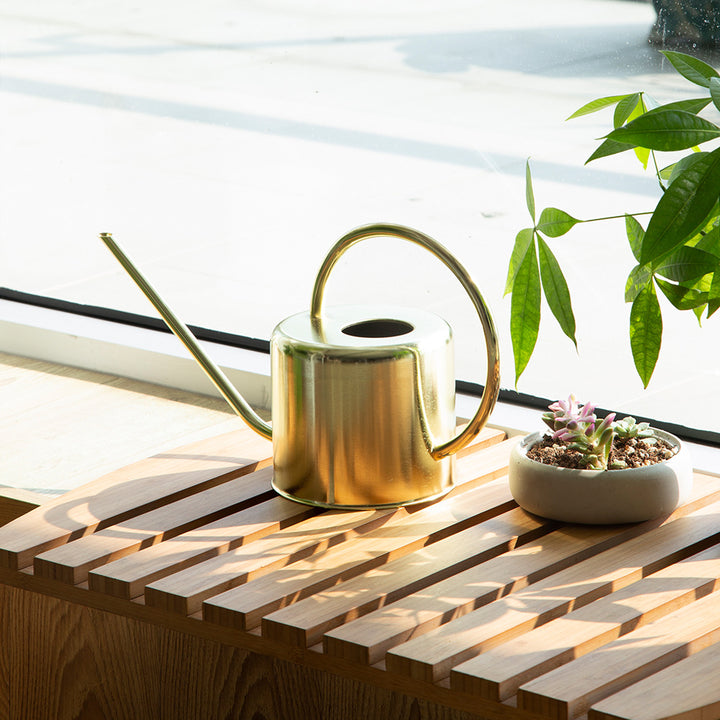 Decorative Copper Watering Can