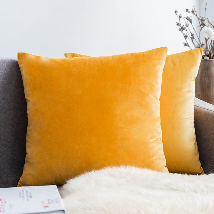 Ultra-Soft Velvet Square Decorative Pillow Cover with Minky Back and Invisible Zipper