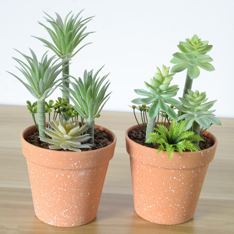 Artificial Succulent Plant Arrangement