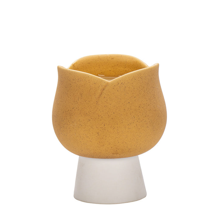 Rustic Ceramic Planter Kalsten