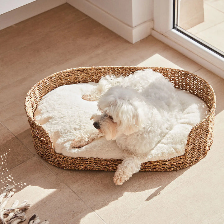 Cozy and stylish dog bed made of braided material Kalsten
