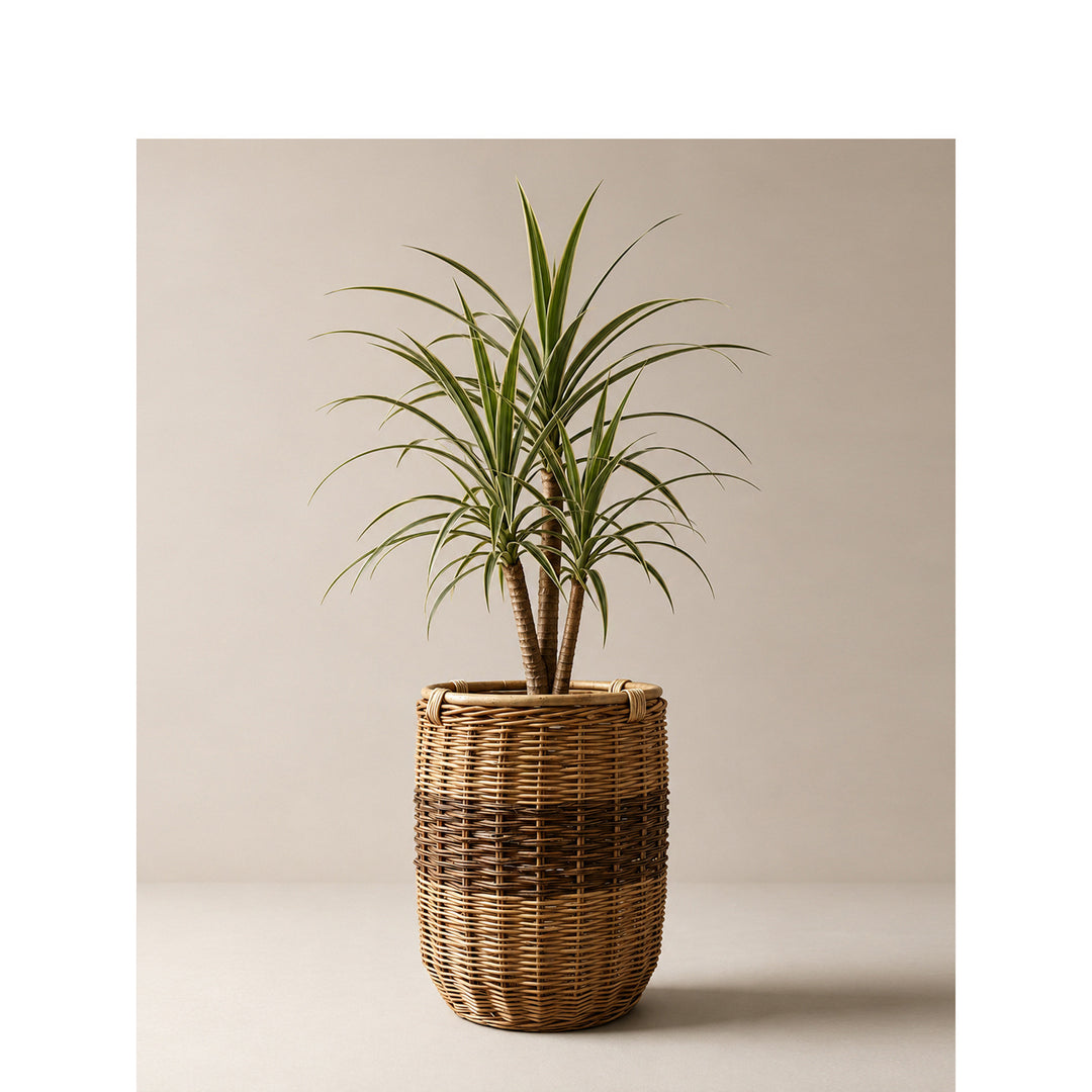 Handwoven laundry basket Kalsten