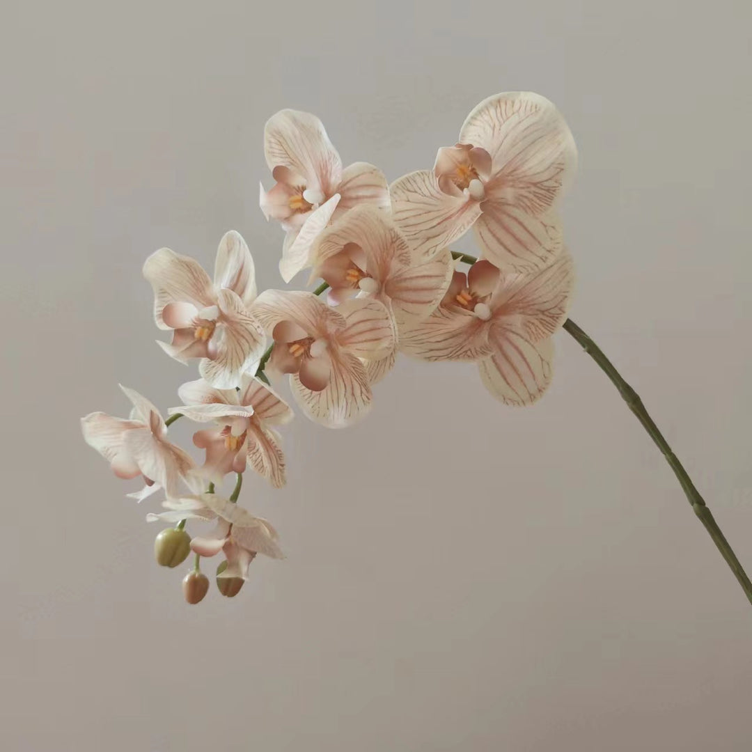 Realistic Orchid Flower Stem