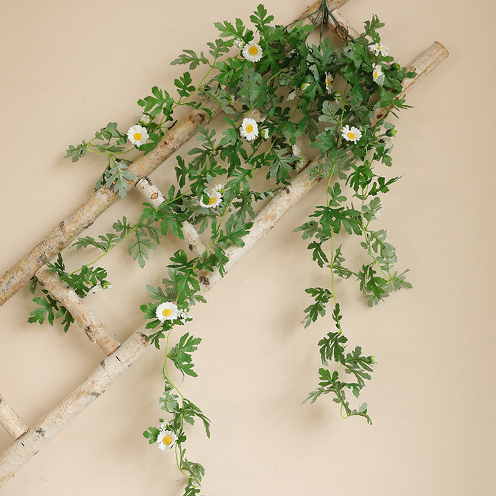 Hanging Decorative Plant Kalsten