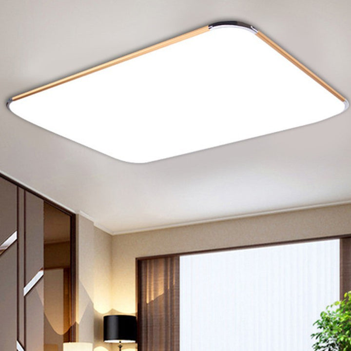 Modern Ceiling Light