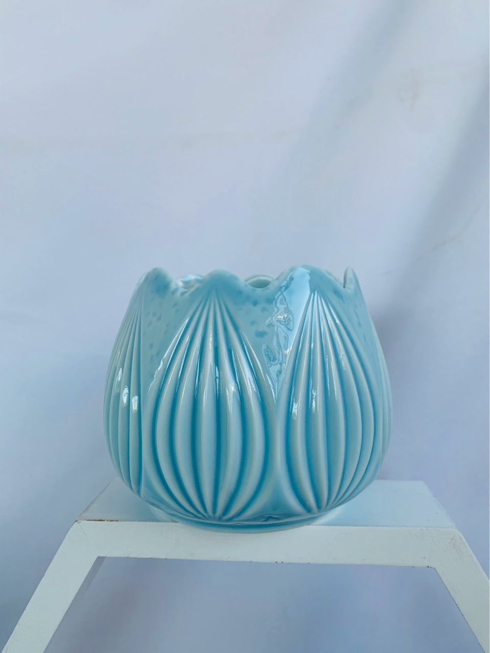 Decorative Ceramic Planter Kalsten