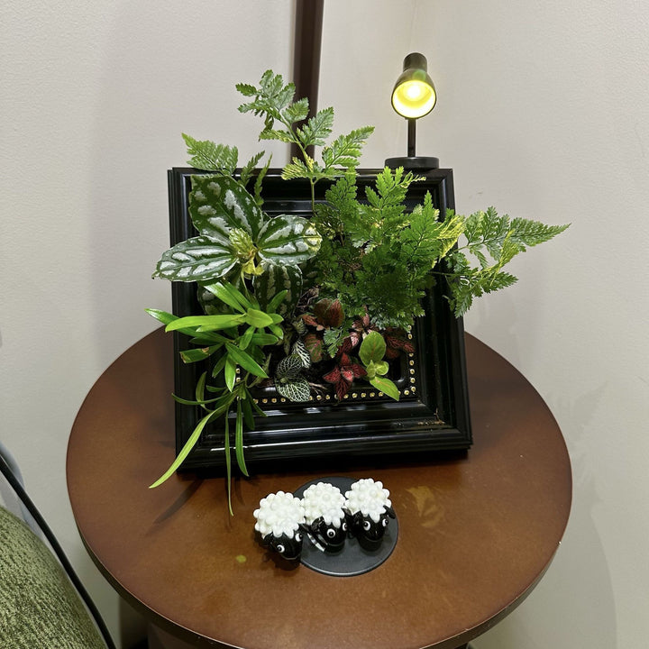 Decorative Plant