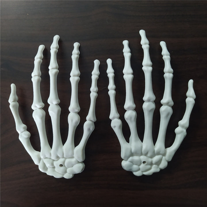 Anatomical Hand Skeleton Model Kalsten
