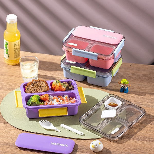 Multi-Section Insulated Lunch Box