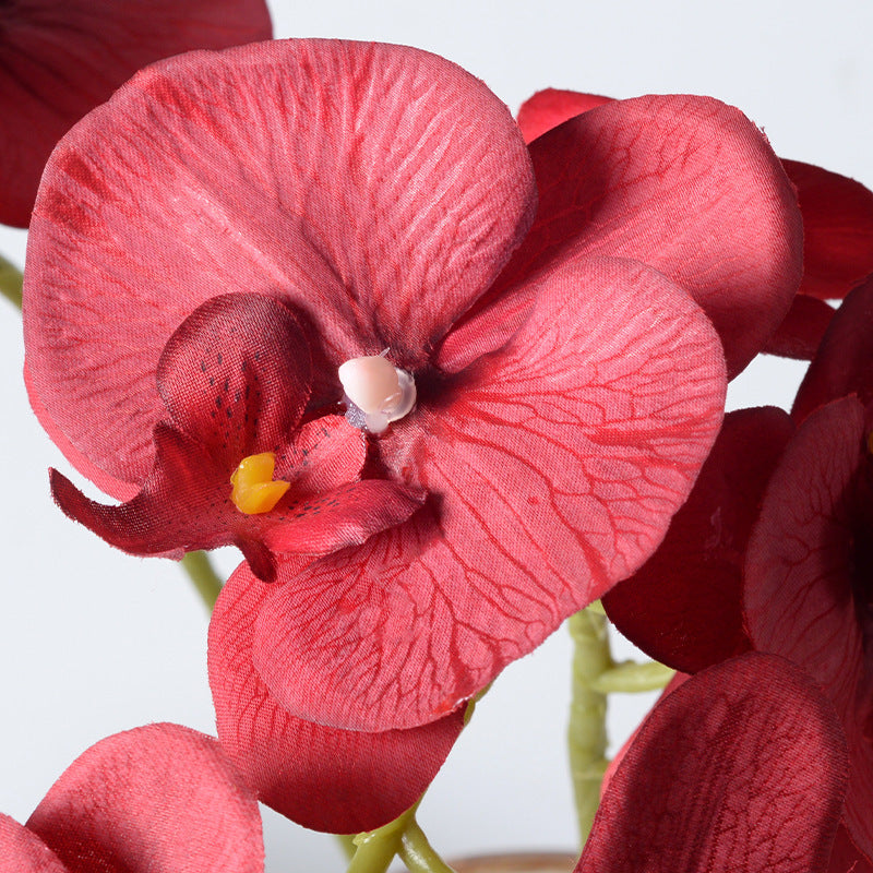 Elegant Artificial Orchid Stems
