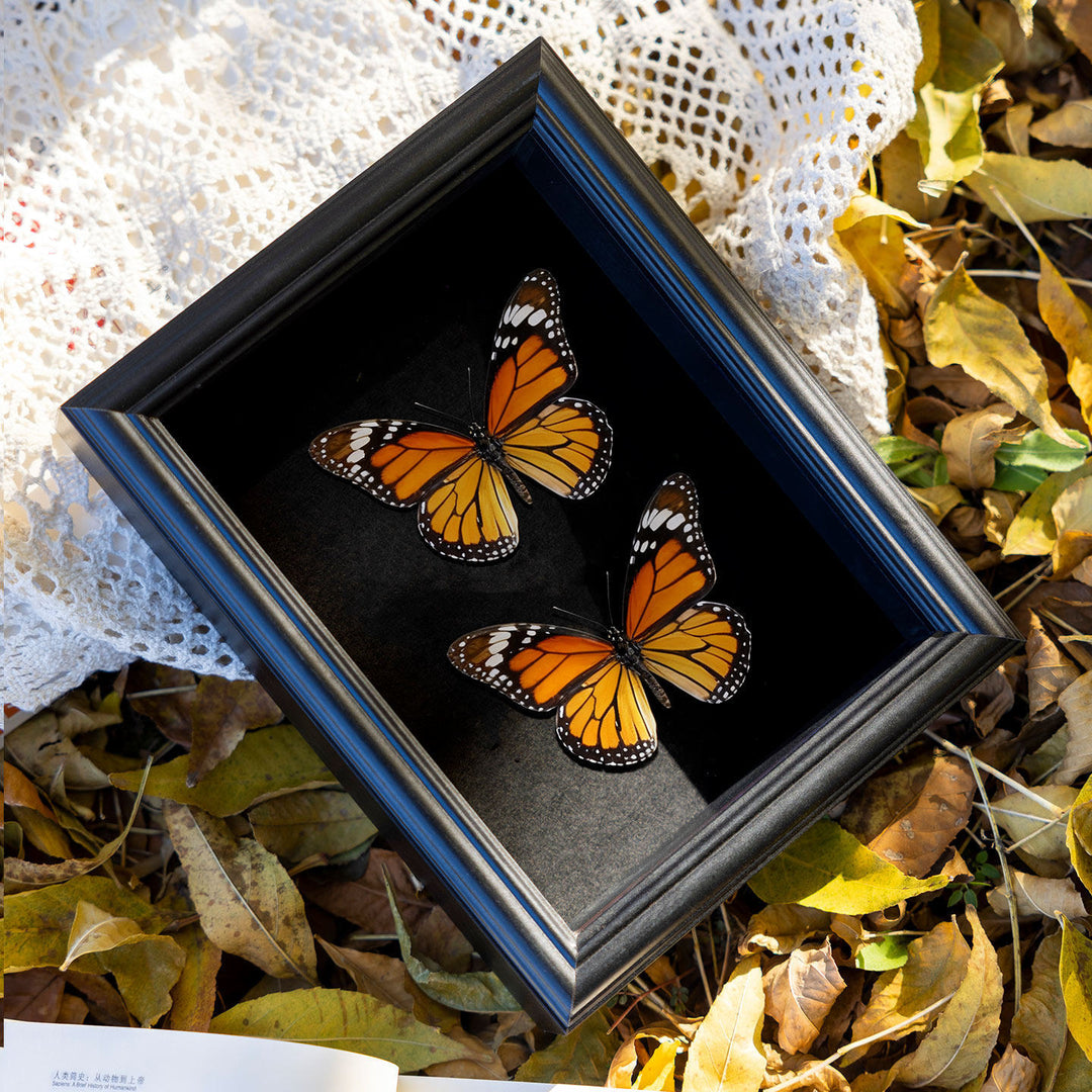 Decorative Botanical Shadow Box Frame