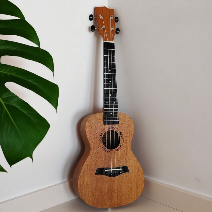 Ukulele Kalsten