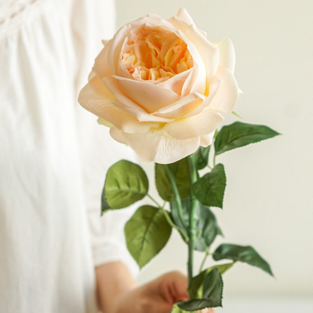Realistic Decorative Rose Stem