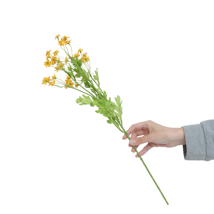 Realistic Yellow Wildflower Stem