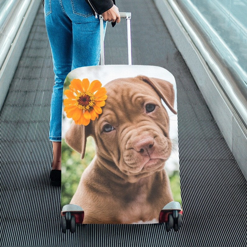 Unisex hard-shell cabin trolley with vintage travel illustration, 360° swivel wheels and telescopic handle Kalsten