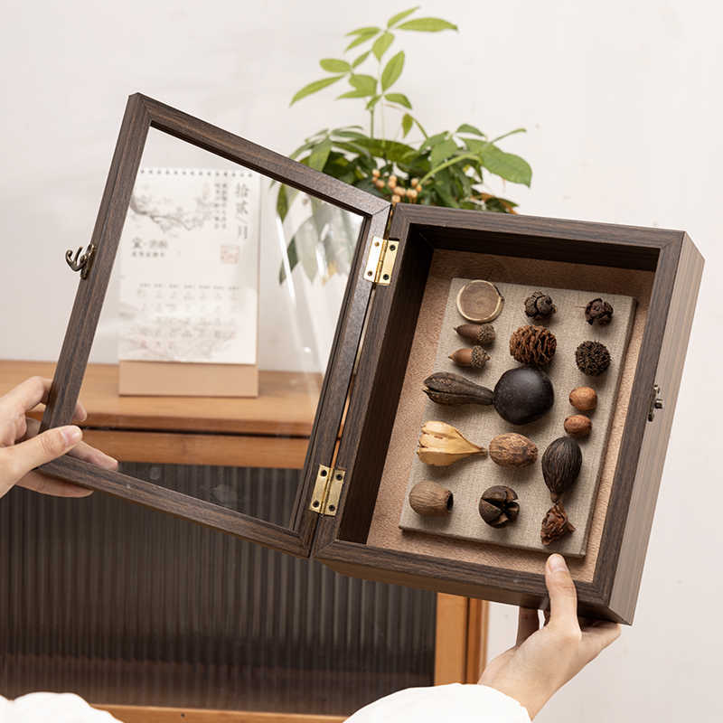 Decorative Shadow Box Frame with Natural Elements