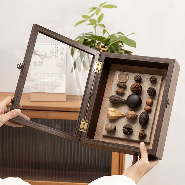 Decorative Shadow Box Frame with Natural Elements