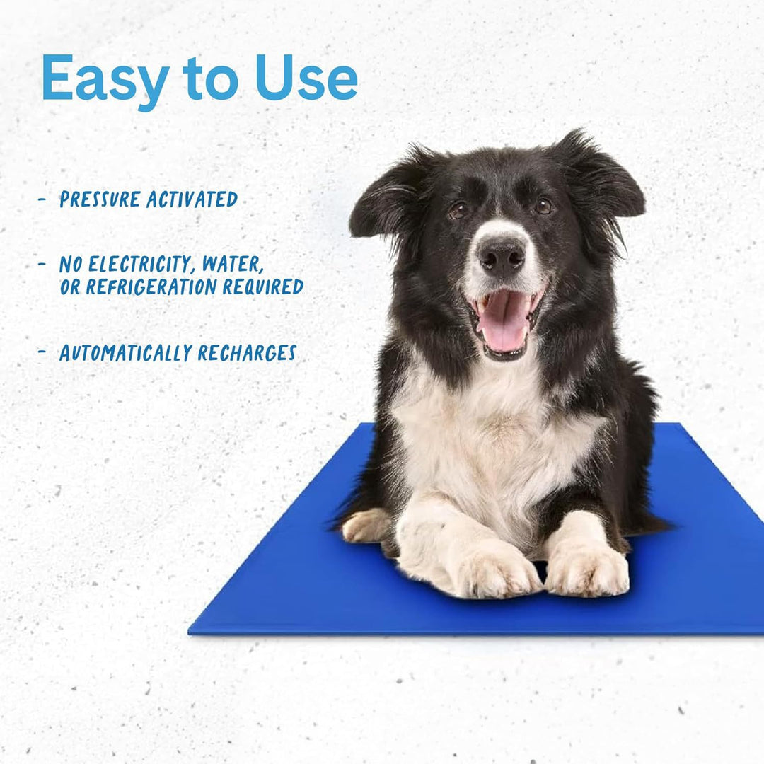 Cooling Dog Mat Kalsten