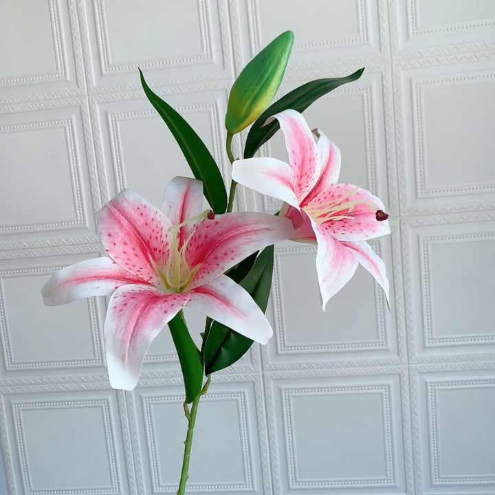 Realistic Floral Lily Stem